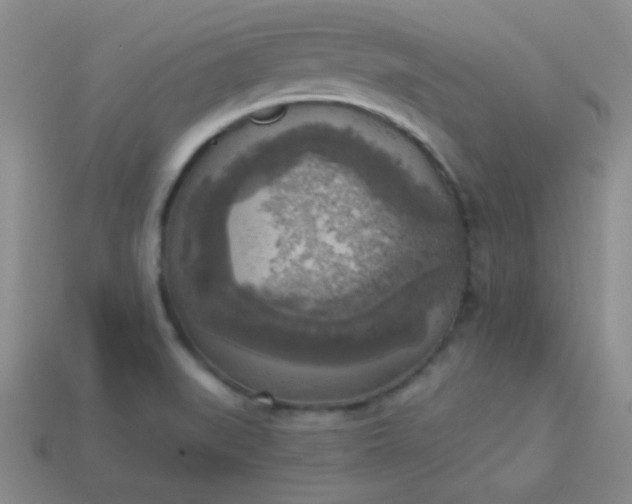 X0000113961519200910091619