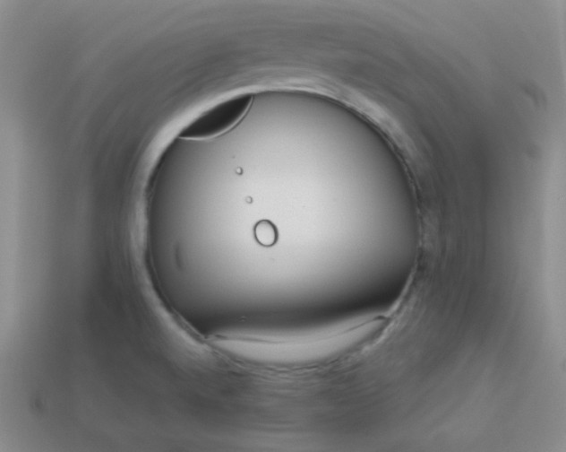 X0000113961520200910091619