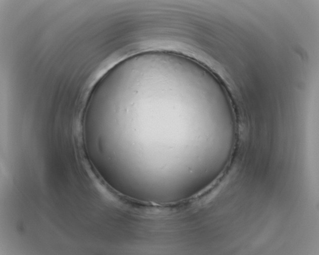 X0000113961521200910091619