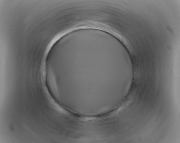 X0000113961522200910091619