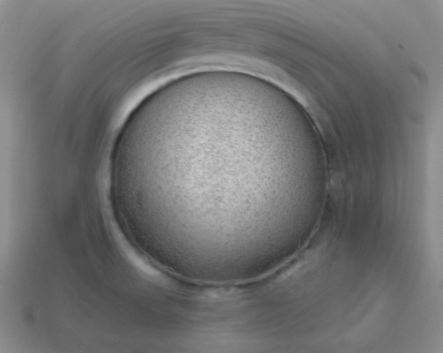 X0000113961523200910091619