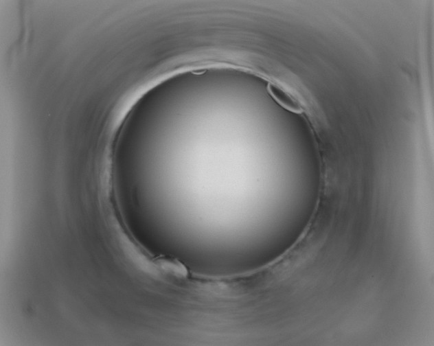 X0000113961524200910091619