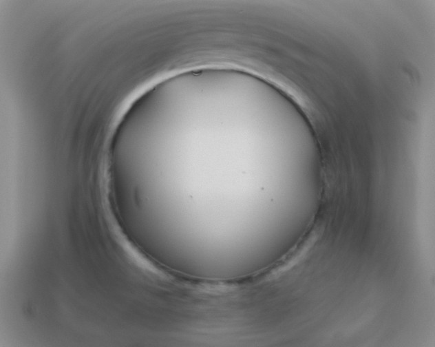 X0000113961526200910091619