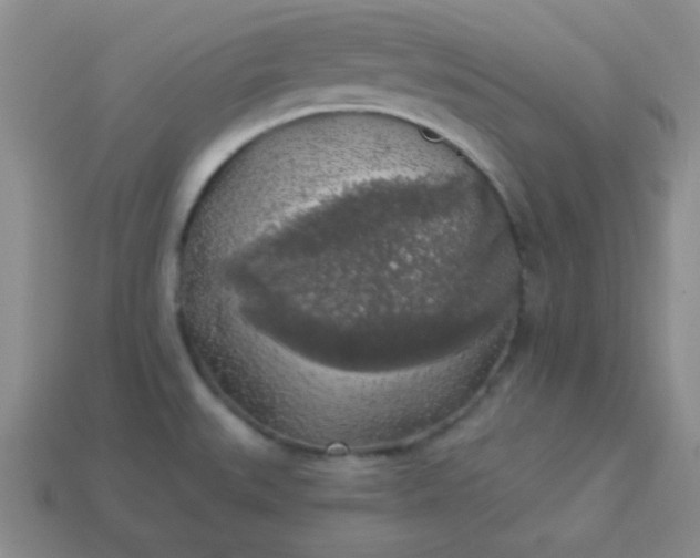 X0000113961527200910091619