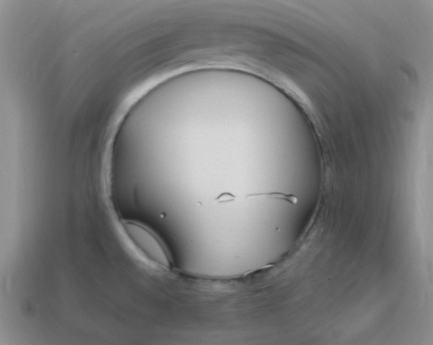 X0000113961528200910091619