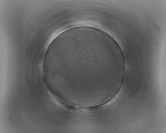 X0000113961529200910091619