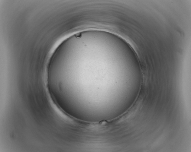 X0000113961531200910091619