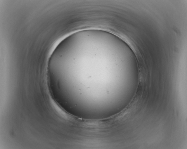 X0000113961532200910091619