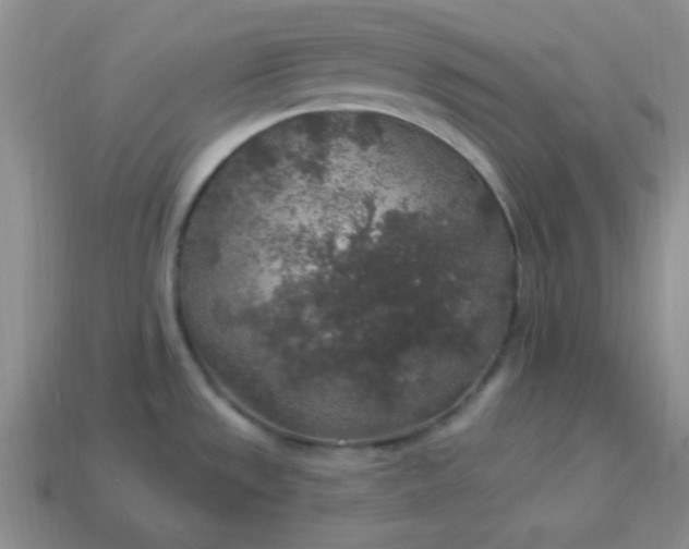 X0000113961533200910091619