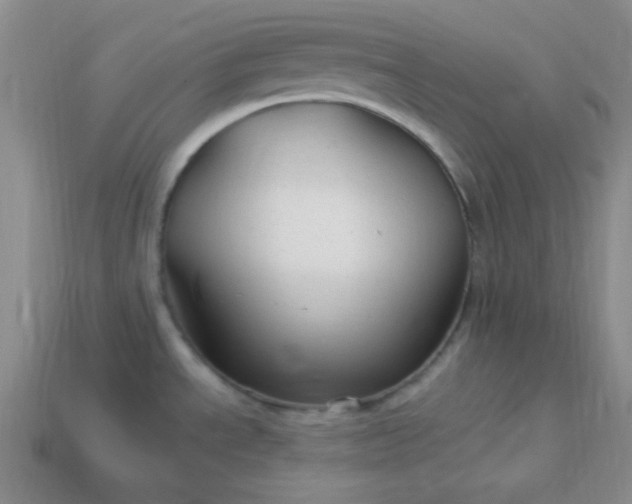 X0000113961534200910091619