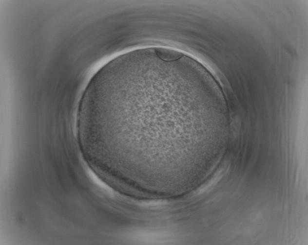 X0000113961535200910091619