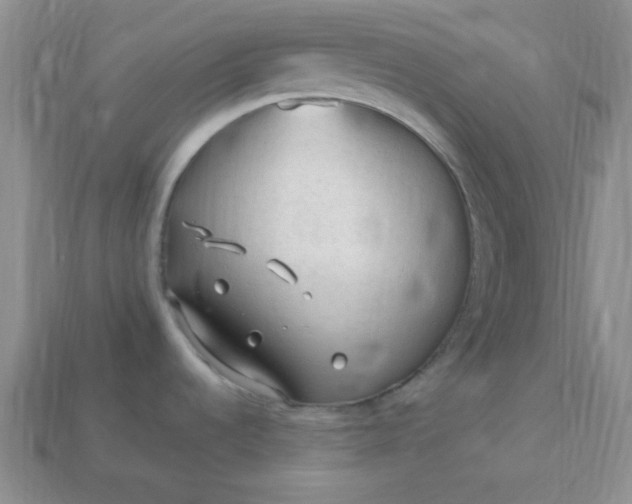 X0000113961536200910091619