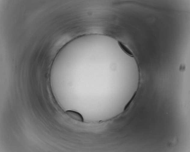 X0000113960001200910162015