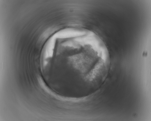 X0000113960002200910162015