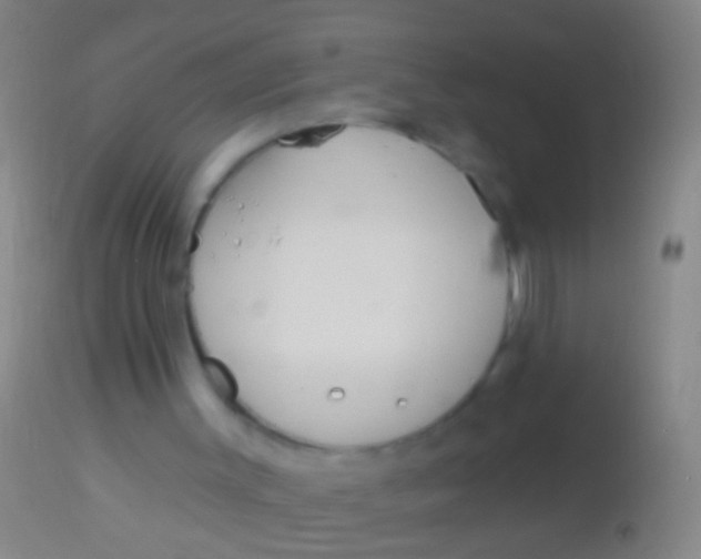 X0000113960003200910162015