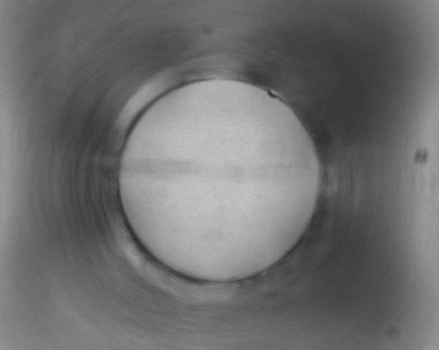 X0000113960004200910162015