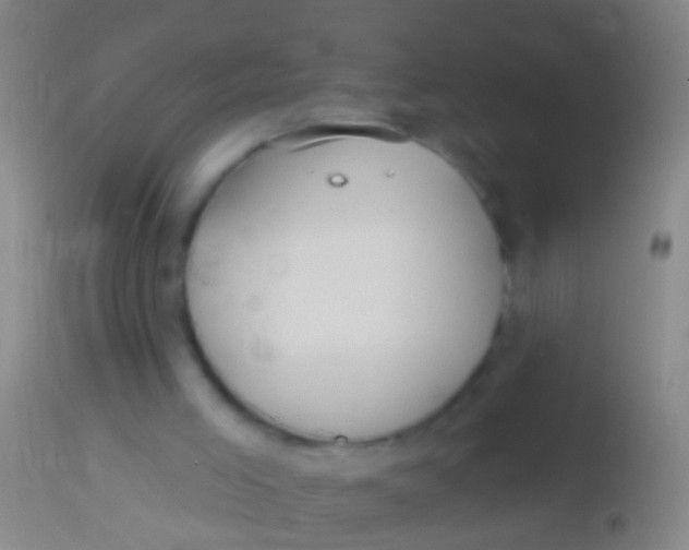 X0000113960005200910162015