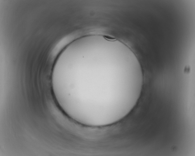 X0000113960007200910162015