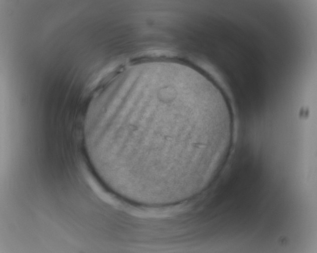 X0000113960009200910162015