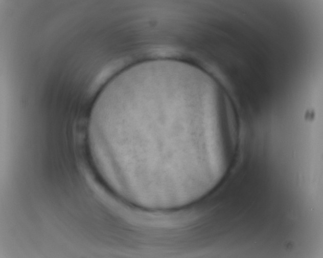 X0000113960010200910162015