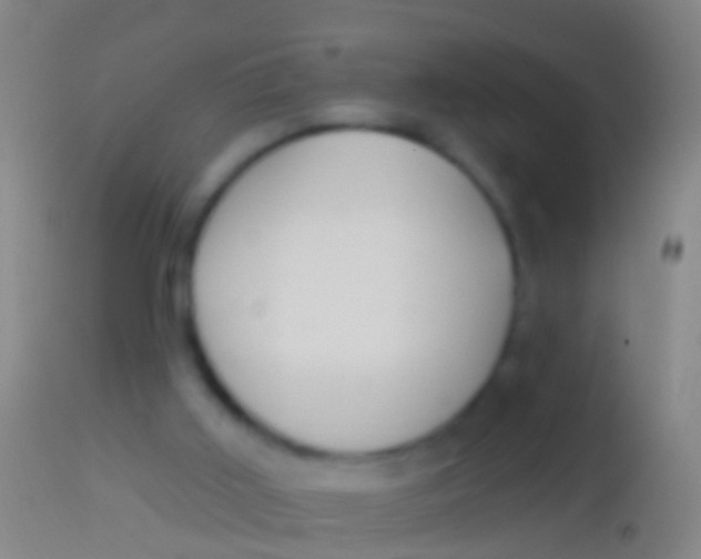 X0000113960011200910162015