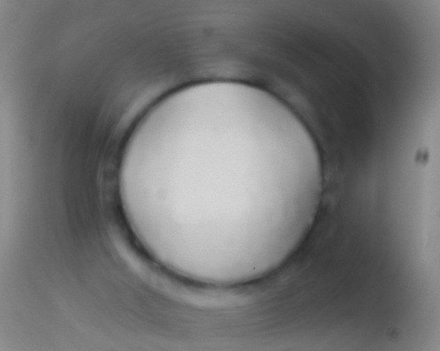 X0000113960012200910162015