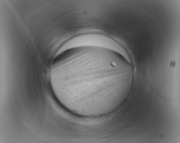 X0000113960013200910162014