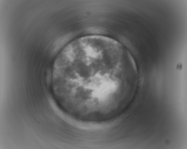 X0000113960014200910162014