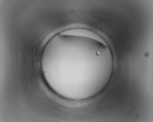 X0000113960015200910162014