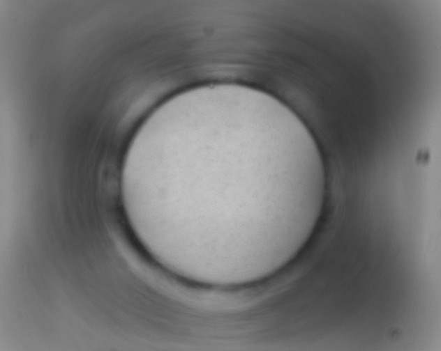 X0000113960016200910162014