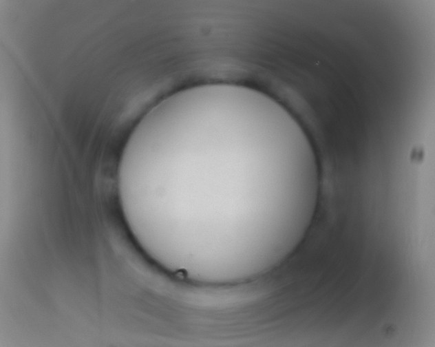 X0000113960017200910162014