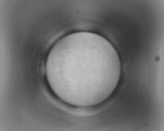 X0000113960020200910162014