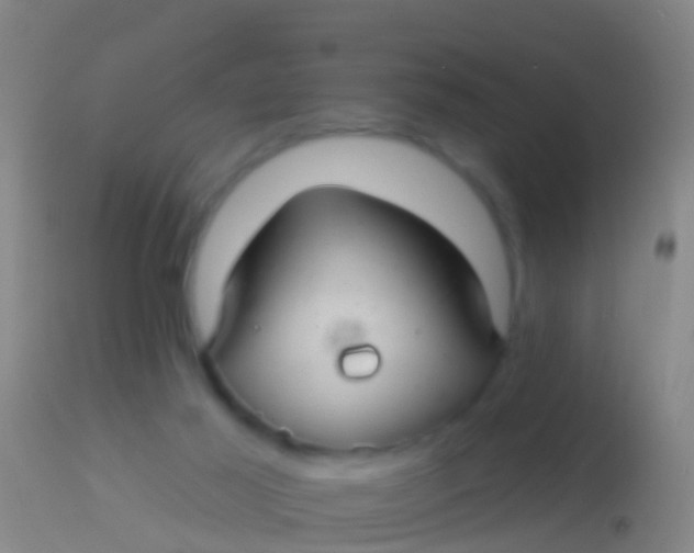 X0000113960021200910162014