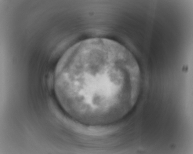 X0000113960022200910162014