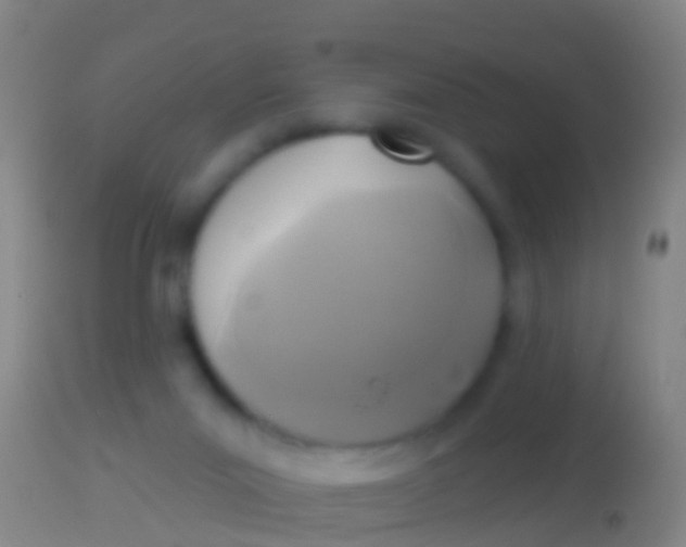 X0000113960023200910162014