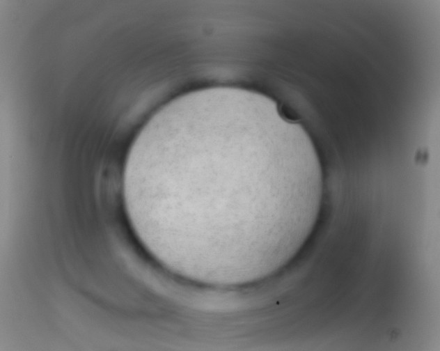 X0000113960024200910162014