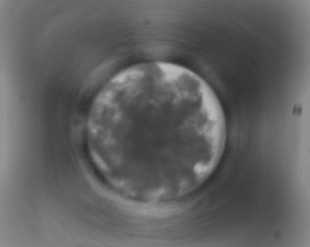 X0000113960026200910162014