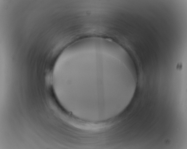 X0000113960027200910162014