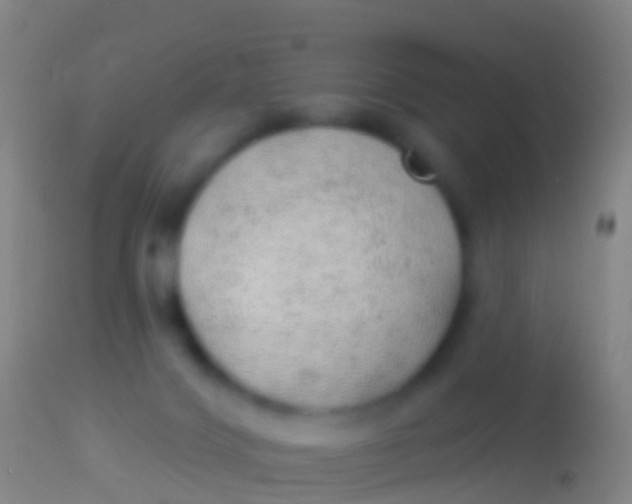 X0000113960028200910162014