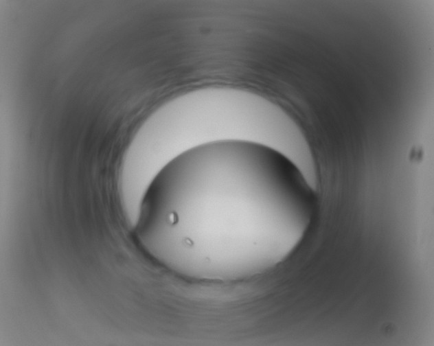 X0000113960029200910162014