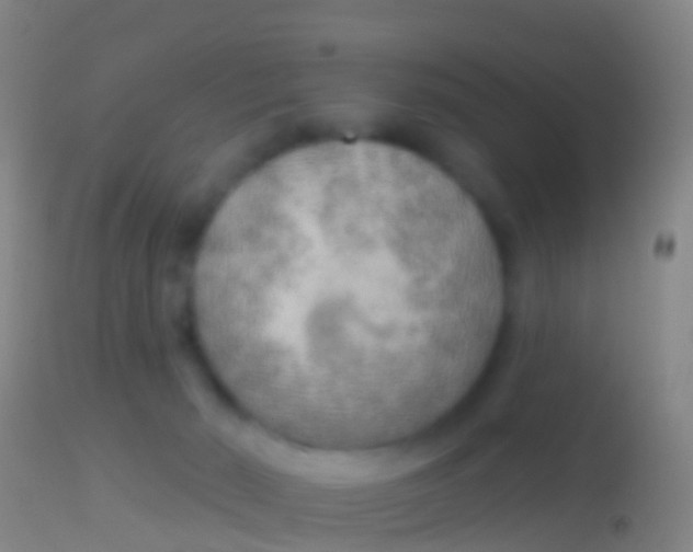 X0000113960030200910162014