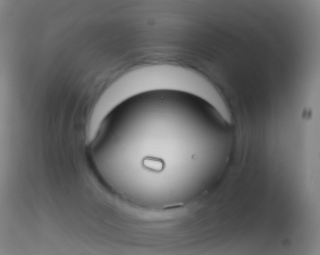 X0000113960031200910162014