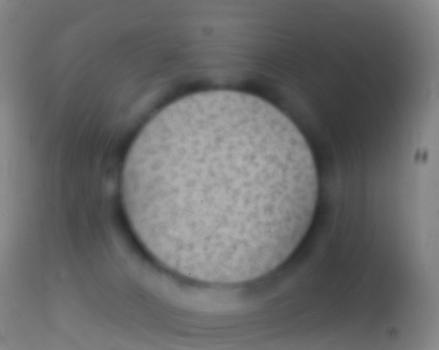 X0000113960032200910162014