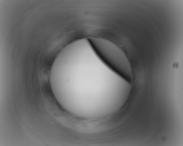 X0000113960033200910162014