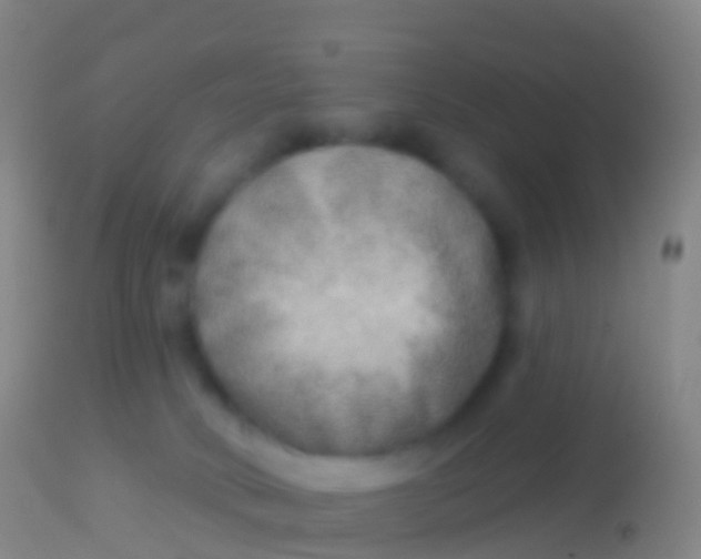 X0000113960034200910162014