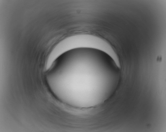 X0000113960035200910162014