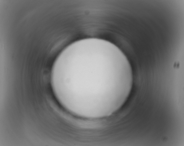 X0000113960036200910162014