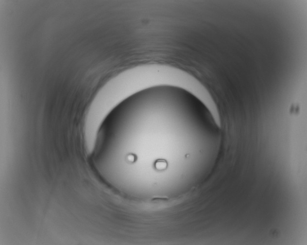 X0000113960037200910162014