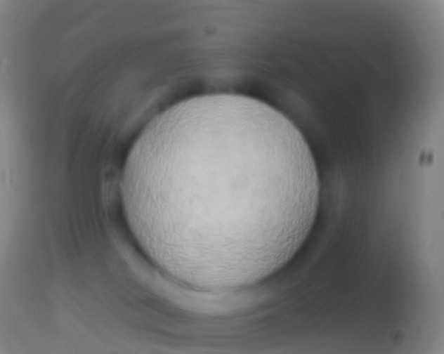 X0000113960038200910162014