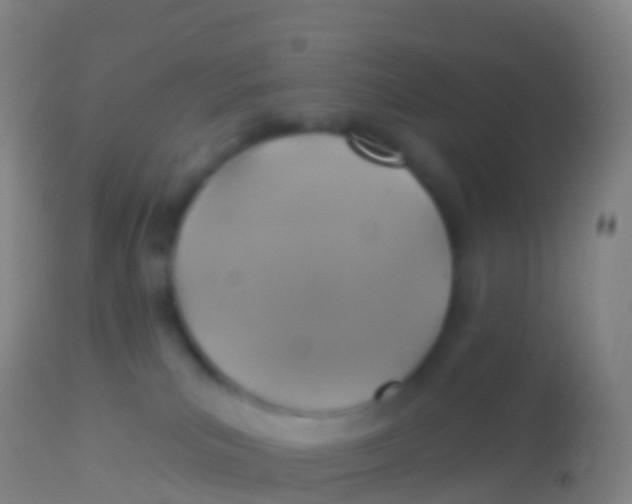 X0000113960039200910162014